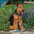 Airedale 2010 Calendar 10002-10