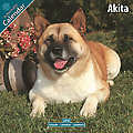 Akita 2010 Calendar 10003-10
