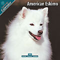 American Eskimo 2010 Calendar 10005-10