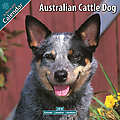 Australian Cattle Dog 2010 Calendar 10008-10