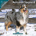 Australian Shepherd 2010 Calendar 10009-10