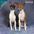 Basenji 2010 Calendar 10010-10