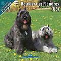 Bouvier Des Flandres (US) 2010 Calendar 10120-10