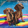 Dachshund 2010 Calendar 10032-10