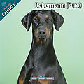 Dobermann (Euro) 2010 Calendar 10035-10