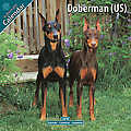 Doberman (US) 2010 Calendar 10034-10