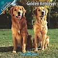 Golden Retriever 2010 Calendar 10041-10(Case of 12)