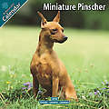 Miniature Pinscher 2010 Calendar 10054-10