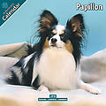 Papillon 2010 Calendar 10058-10