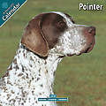 Pointer 2010 Calendar 10116-10