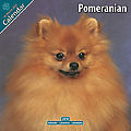 Pomeranian 2010 Calendar 10060-10