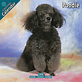 Poodle 2010 Calendar 10061-10