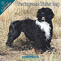 Portuguese Water Dog 2010 Calendar 10097-10