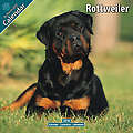 Rottweiler 2010 Calendar 10064-10