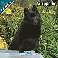 Schipperke 2010 Calendar 10066-10