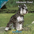 Schnauzer (Euro) 2010 Calendar 10068-10
