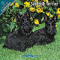 Scottish Terrier 2010 Calendar 10069-10