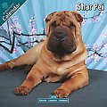 Shar Pei 2010 Calendar 10070-10