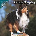 Shetland Sheepdog 2010 Calendar 10071-10