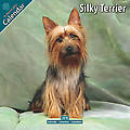 Silky Terrier 2010 Calendar 10118-10