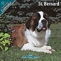 St. Bernard 2010 Calendar 10075-10