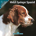 Welsh Springer Spaniel 2010 Calendar 10119-10