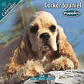 Cocker Spaniel Puppies 2010 Calendar 10203-10