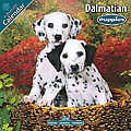 Dalmatian Puppies 2010 Calendar 10204-10