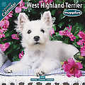 West Highland Terrier Puppies 2010 Calendar 10208-