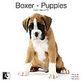 Boxer Puppies 2010 Calendar 30453