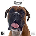 Boxers 2010 Calendar 30454