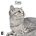 Cats 2010 Calendar 30477