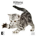Kittens 2010 Calendar 30478