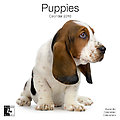 Puppies 2010 Calendar 30479