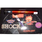 Shocking Flashlight