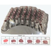 La Femme Lipstick Classic Tray 2