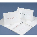 Bridal Party Thank You Cards Asst