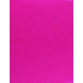 Raspberry Translucent Letterhead