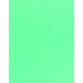 Aqua Translucent Letterhead