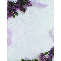 Lilacs &amp; Lace Letterhead