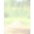 Soft Vineyard Letterhead