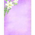 Easter Lily Letterhead