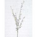 Spirea vine Spray w/Leaves