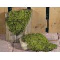 Moss Matting (Bag of 12) 12"Lx9"W Polyester/Wire