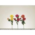 Zinnia Stem (X3 Asst.)