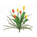 Mixed Tulip/Fern Bush