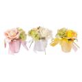 Rose/Hydrangea in Pot (X3 Asst.)