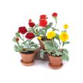Potted Renucula (x3 Asst.) 13"H Polyester/Terra C