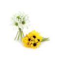 Black Eye Susan Bouquet (x2 Asst.) 9.5"L Polyester