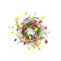 Poppy/Mini Renunculus Wreath 26"D Polyester/Plasti